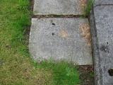 image of grave number 909447